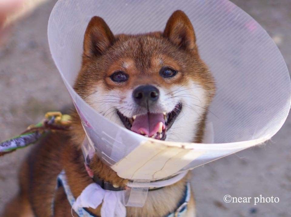 �ե���